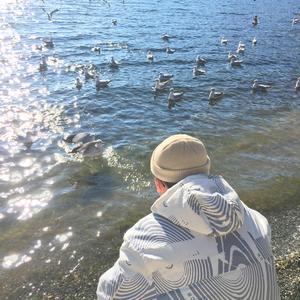 黄色片晚上网站
