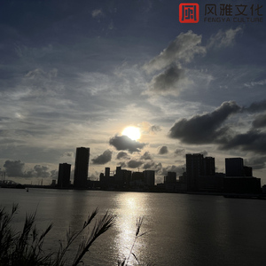 黄色片晚上网站
